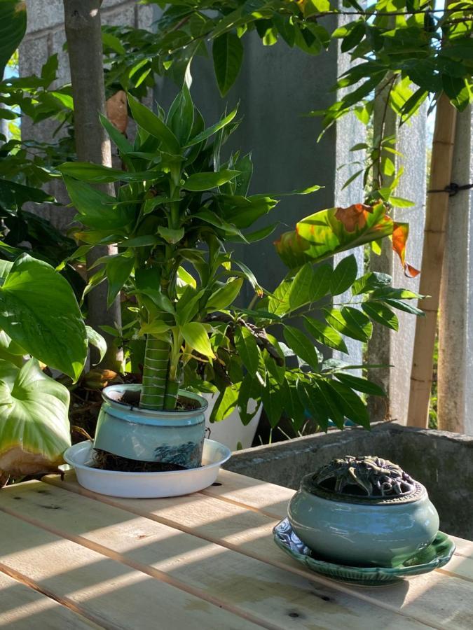 Laoxao Homestay 호이안 외부 사진