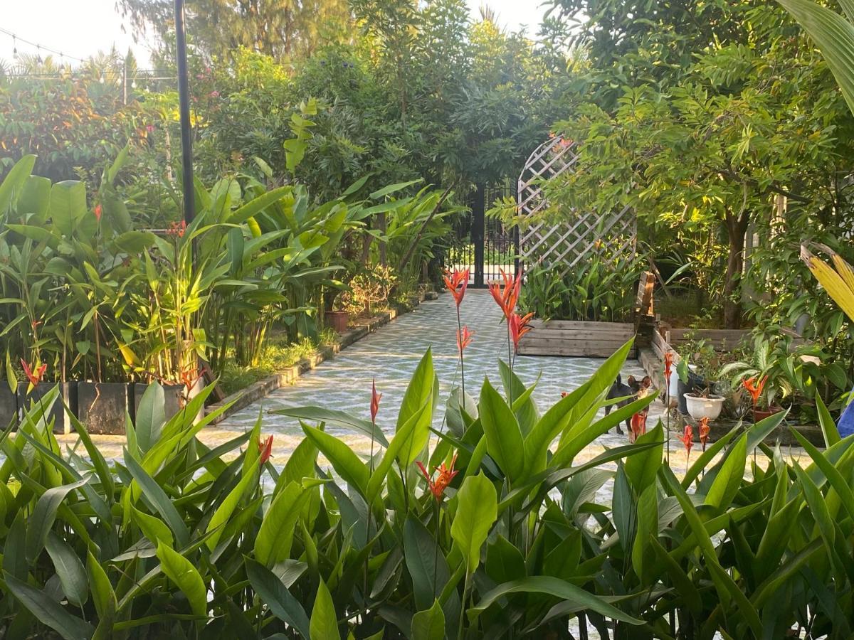 Laoxao Homestay 호이안 외부 사진