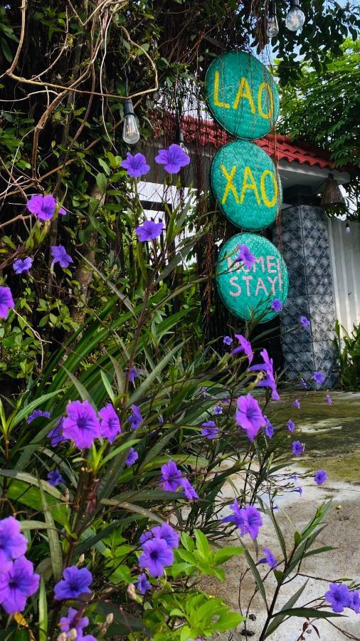 Laoxao Homestay 호이안 외부 사진